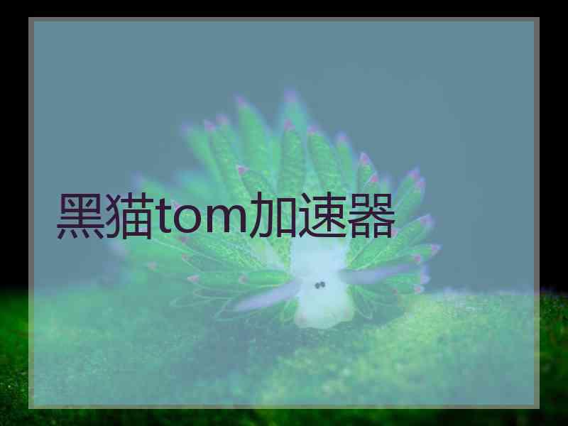 黑猫tom加速器