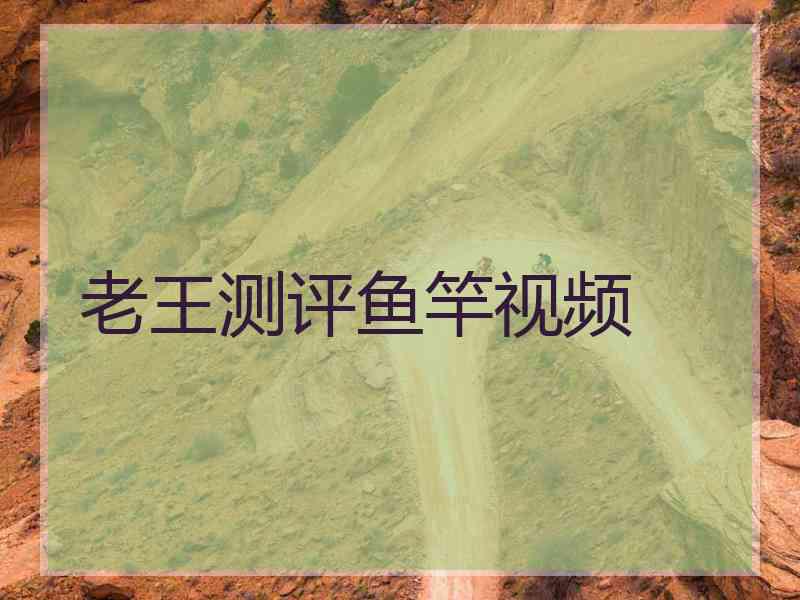 老王测评鱼竿视频