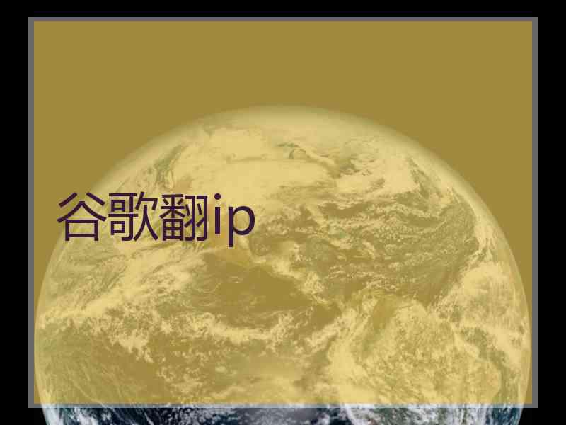 谷歌翻ip