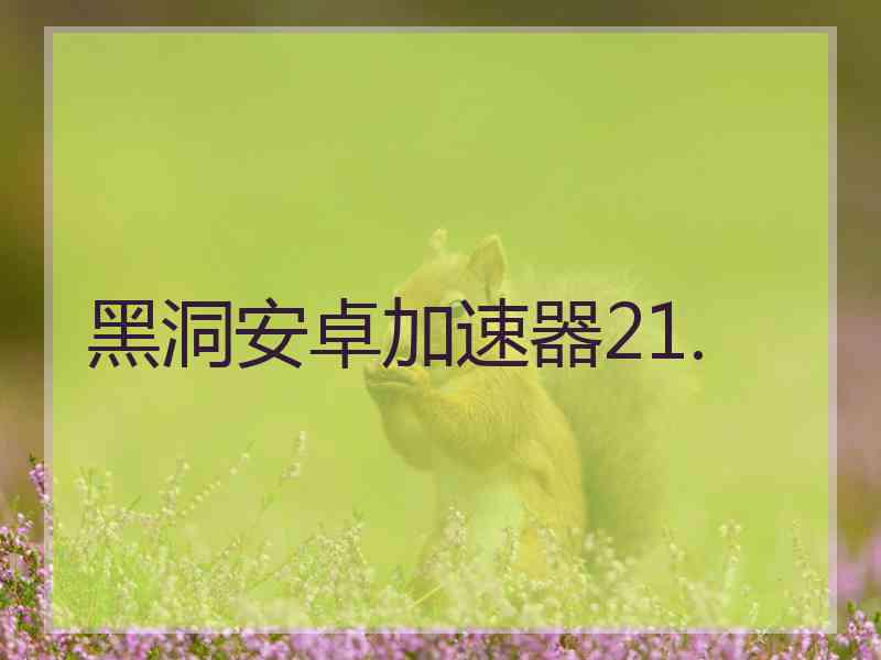 黑洞安卓加速器21.