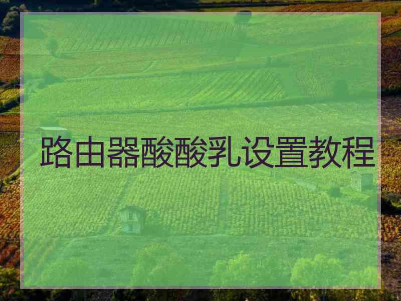 路由器酸酸乳设置教程