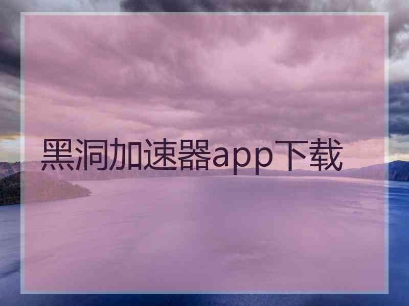 黑洞加速器app下载