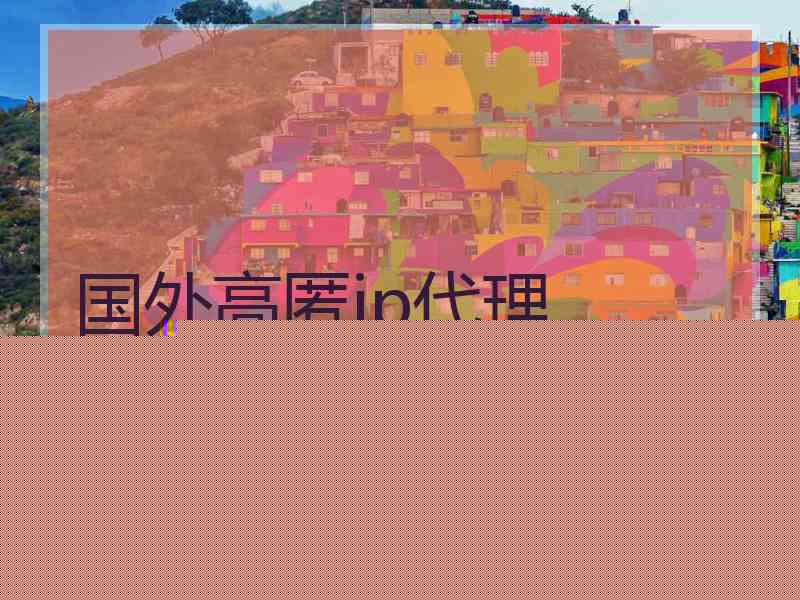 国外高匿ip代理