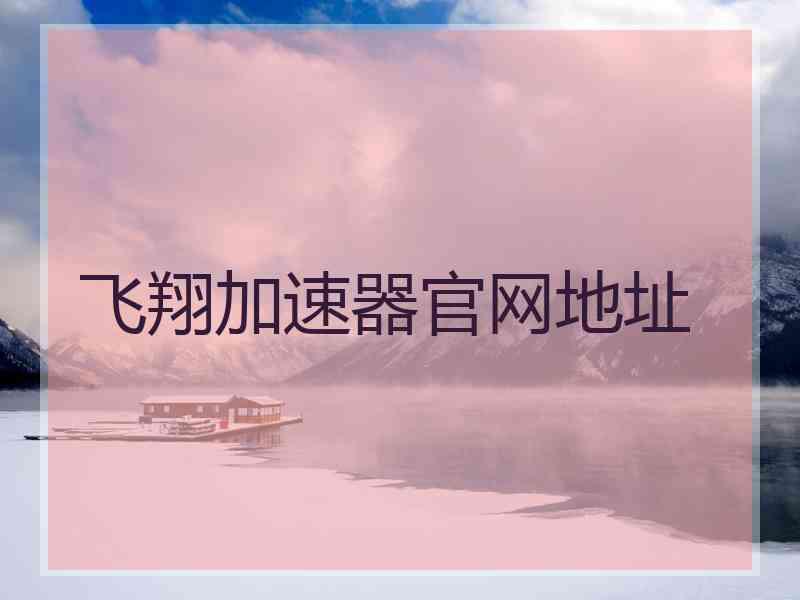 飞翔加速器官网地址