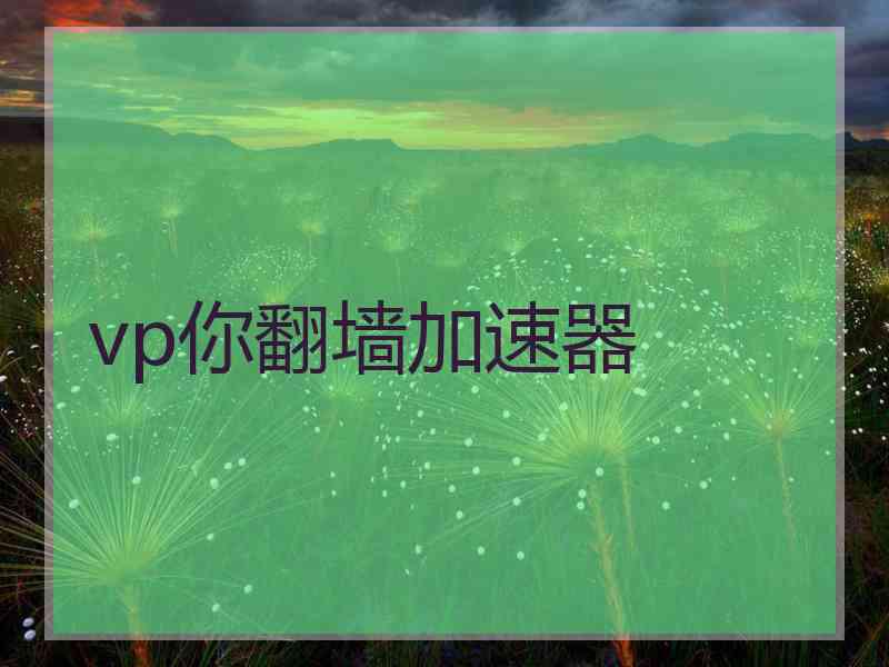 vp你翻墙加速器