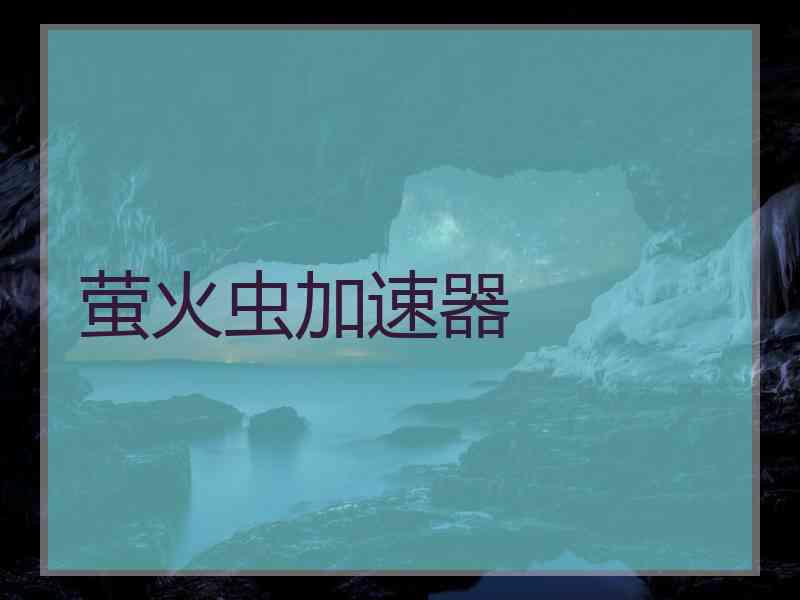 萤火虫加速器