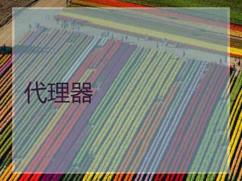 代理器
