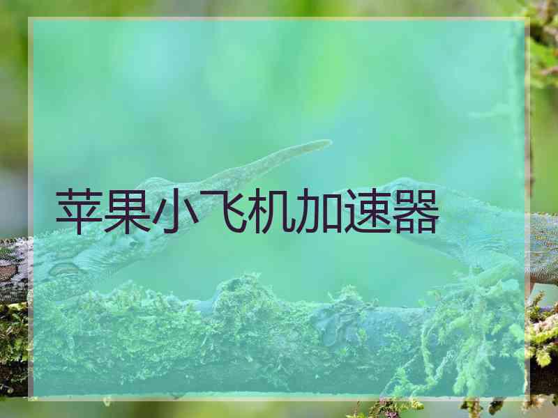 苹果小飞机加速器