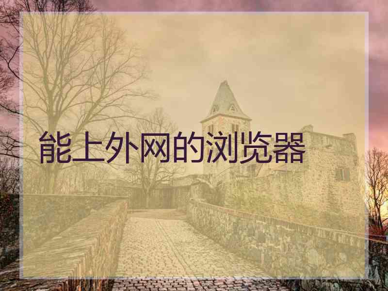 能上外网的浏览器