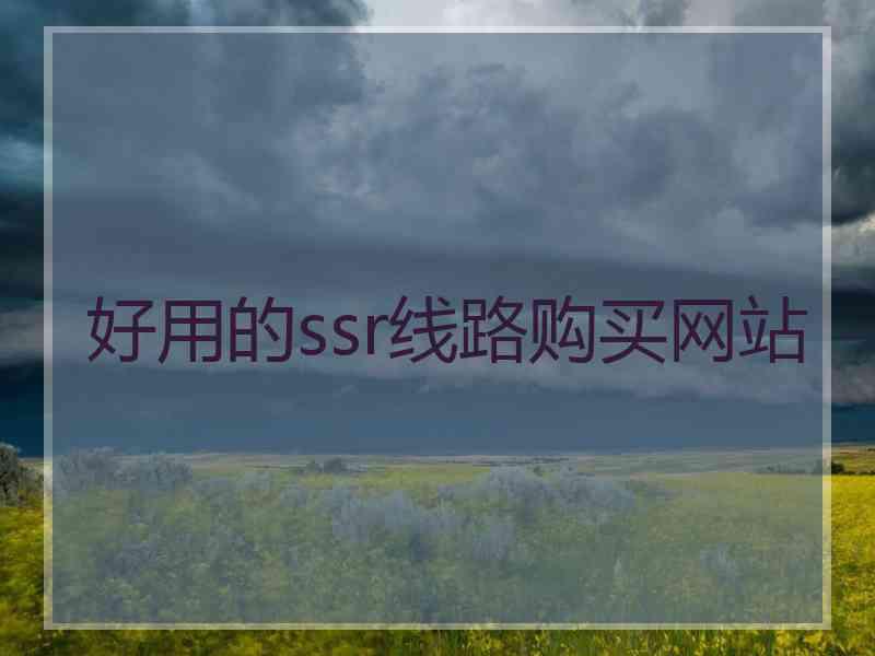 好用的ssr线路购买网站