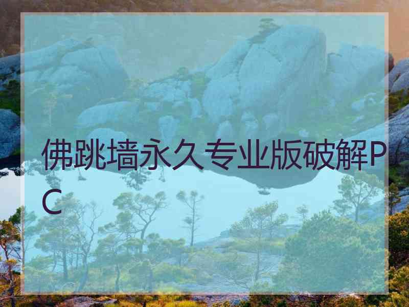 佛跳墙永久专业版破解PC