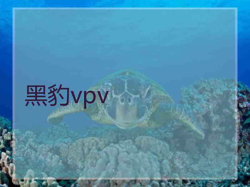 黑豹vpv