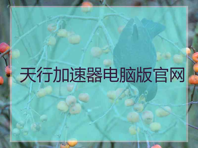 天行加速器电脑版官网