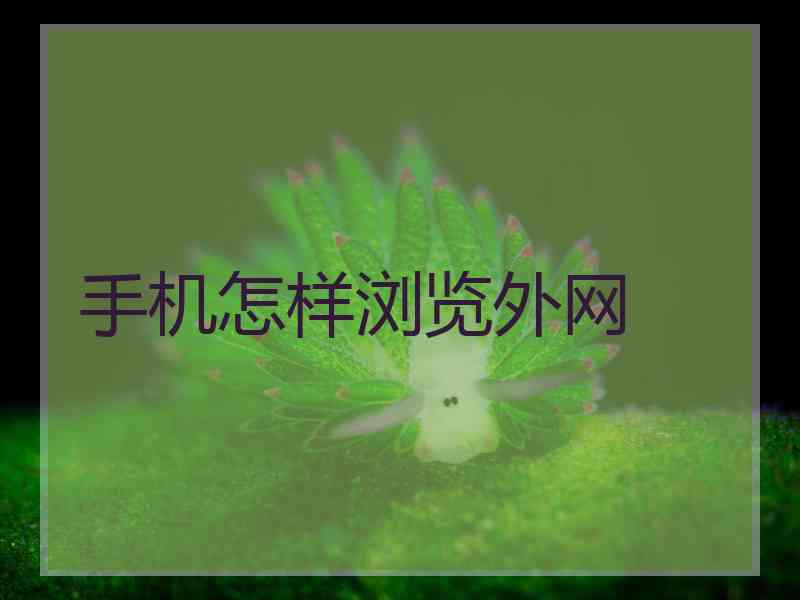 手机怎样浏览外网