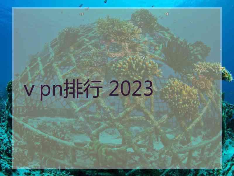 ⅴpn排行 2023
