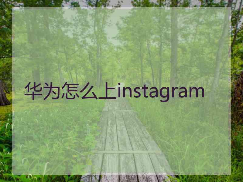 华为怎么上instagram