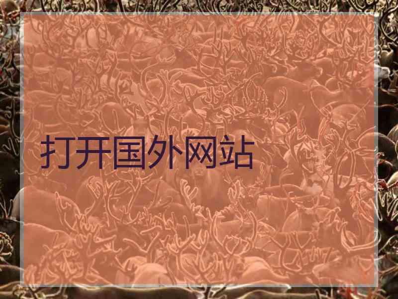 打开国外网站
