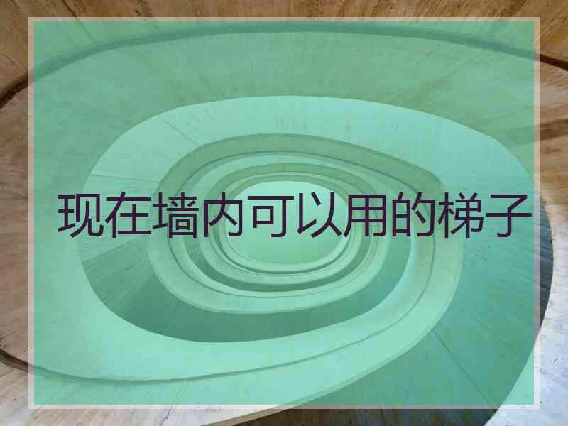 现在墙内可以用的梯子