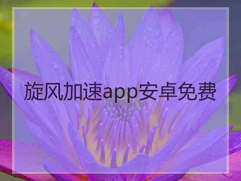 旋风加速app安卓免费