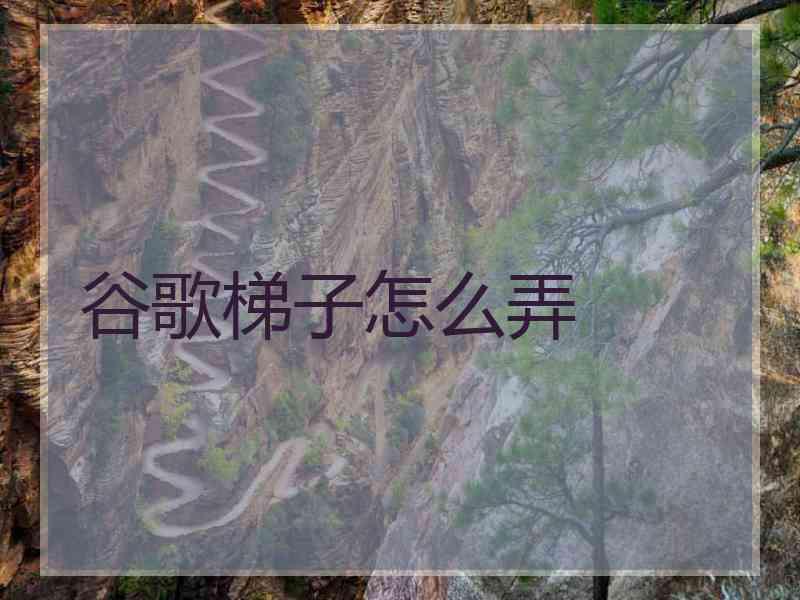 谷歌梯子怎么弄