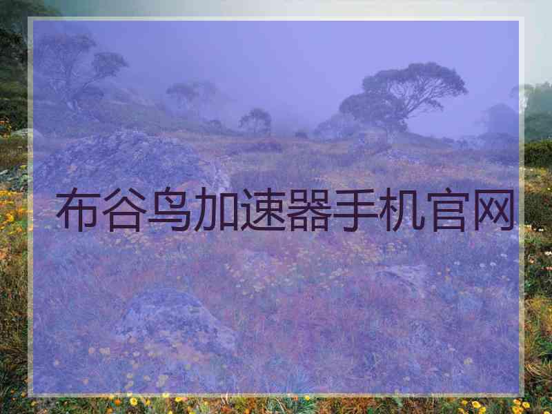 布谷鸟加速器手机官网