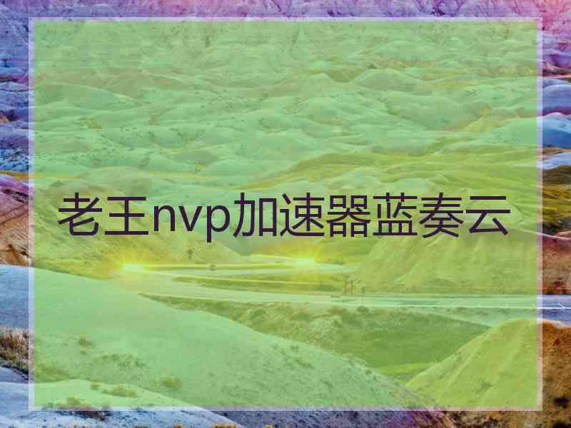 老王nvp加速器蓝奏云
