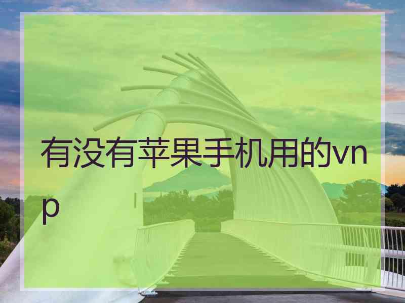 有没有苹果手机用的vnp