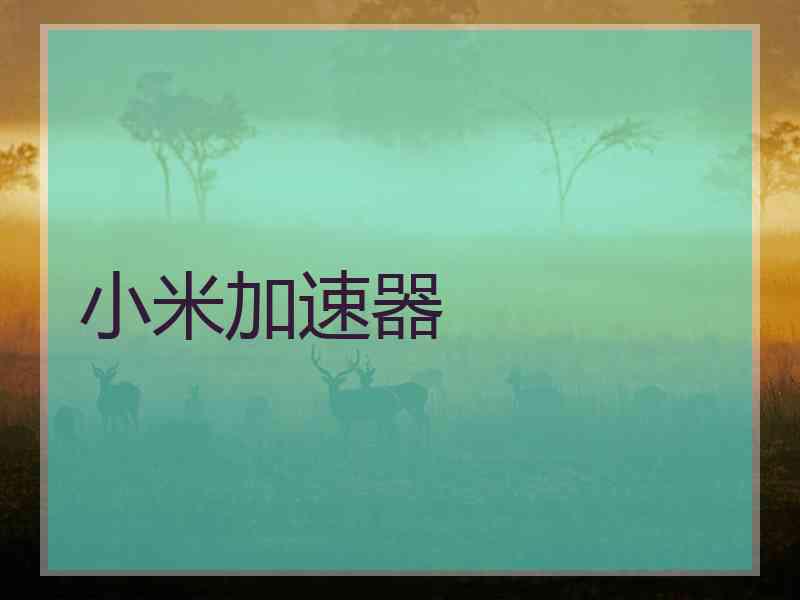 小米加速器