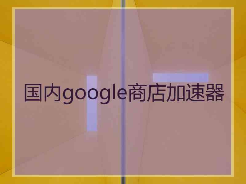 国内google商店加速器