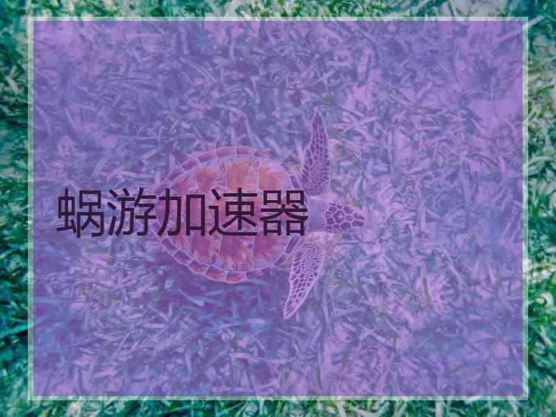 蜗游加速器