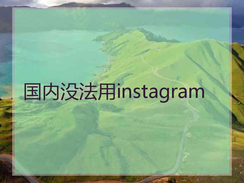 国内没法用instagram
