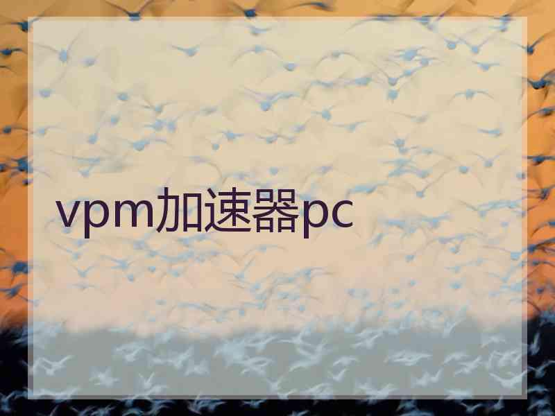 vpm加速器pc
