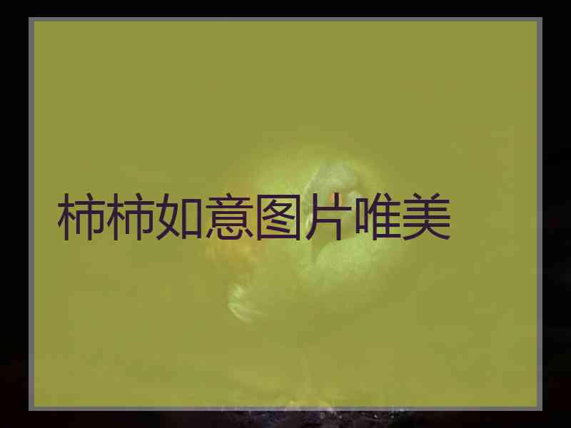 柿柿如意图片唯美
