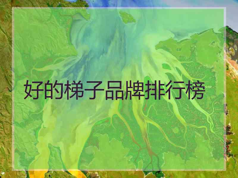好的梯子品牌排行榜