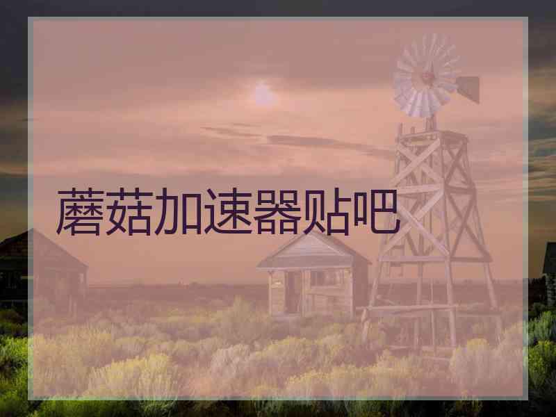 蘑菇加速器贴吧