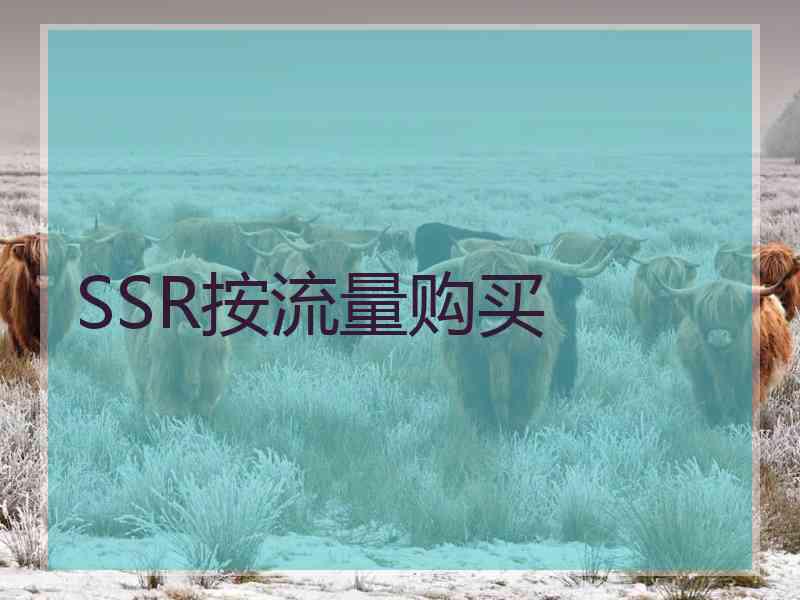 SSR按流量购买