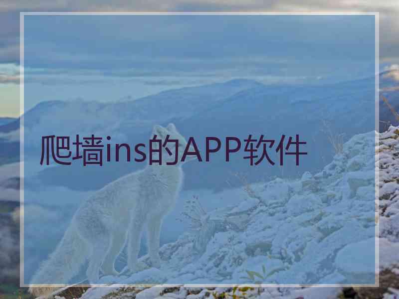 爬墙ins的APP软件