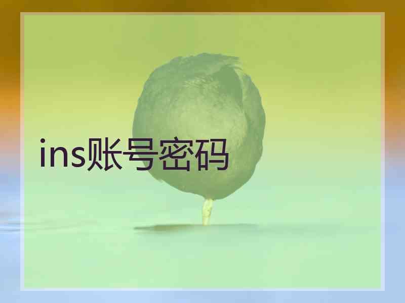ins账号密码