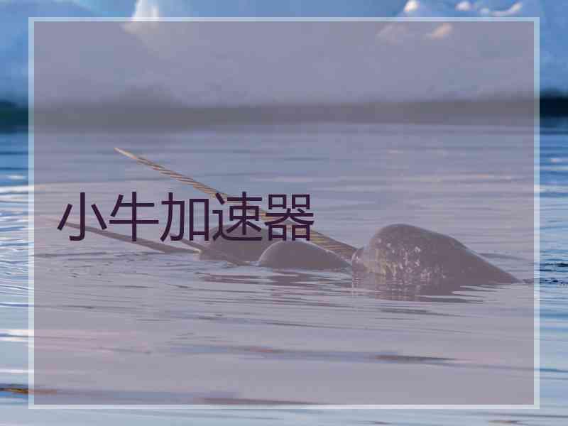 小牛加速器