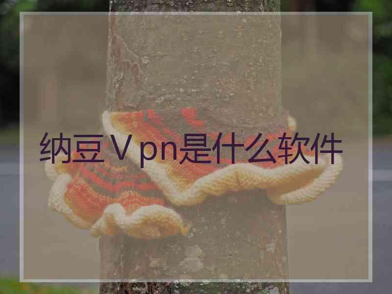 纳豆Ⅴpn是什么软件
