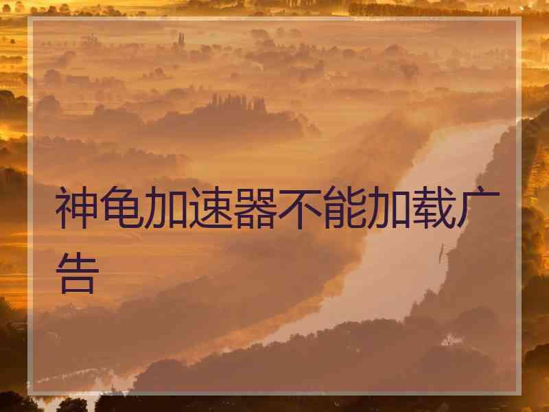 神龟加速器不能加载广告