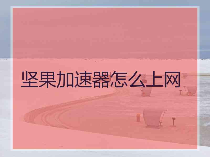 坚果加速器怎么上网