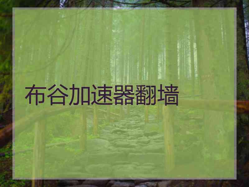布谷加速器翻墙