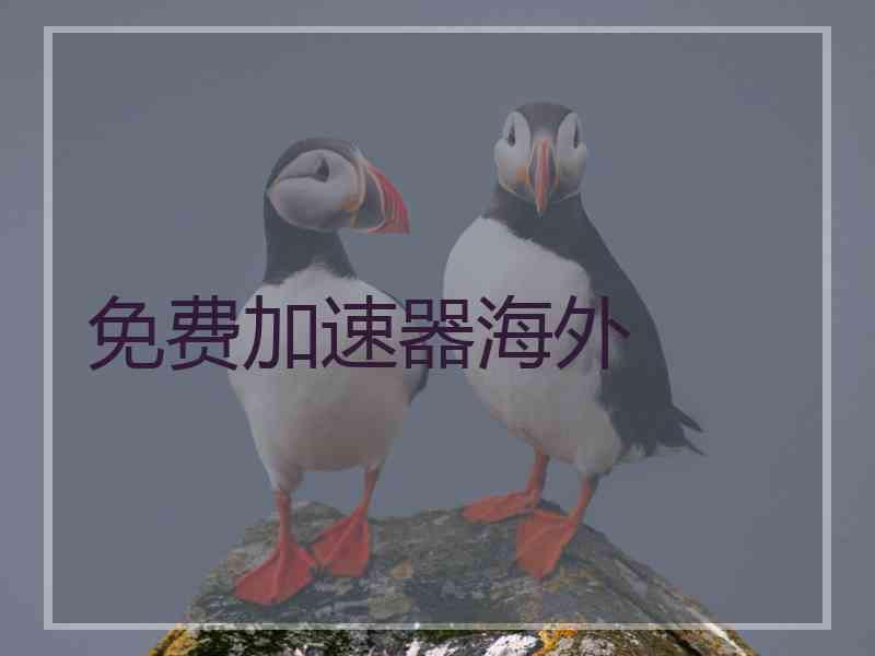 免费加速器海外