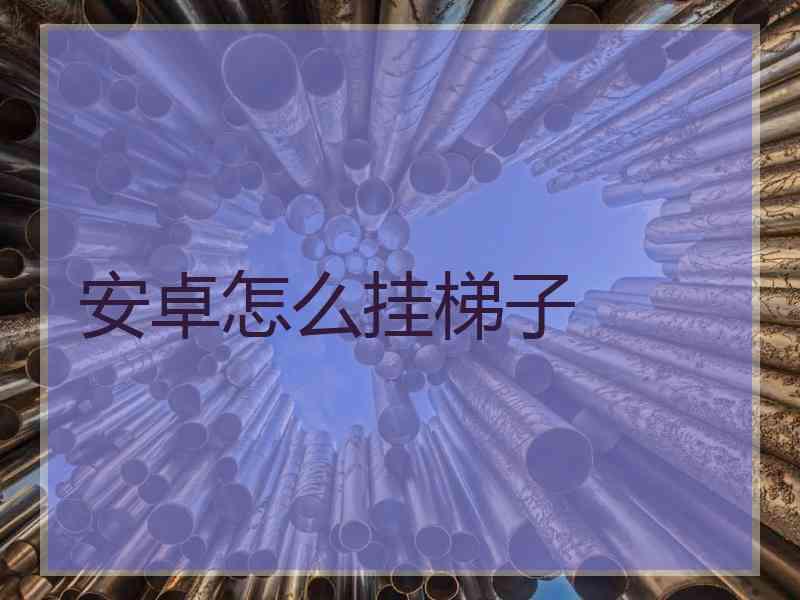 安卓怎么挂梯子