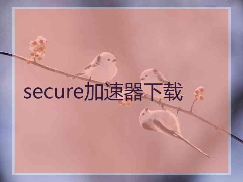 secure加速器下载
