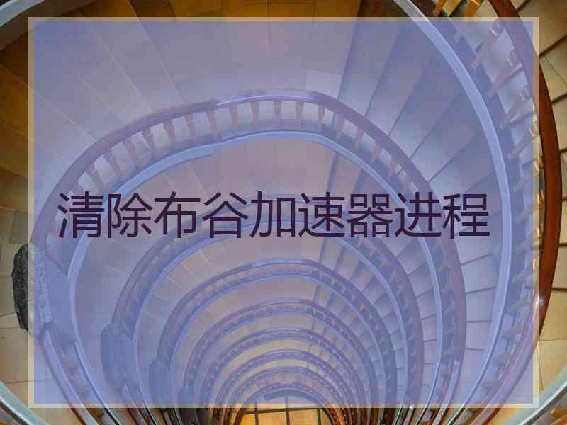 清除布谷加速器进程