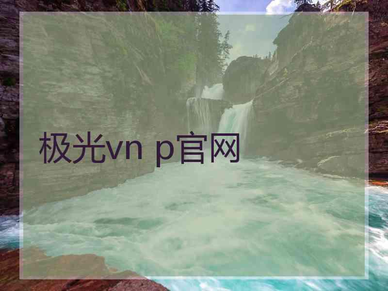 极光vn p官网