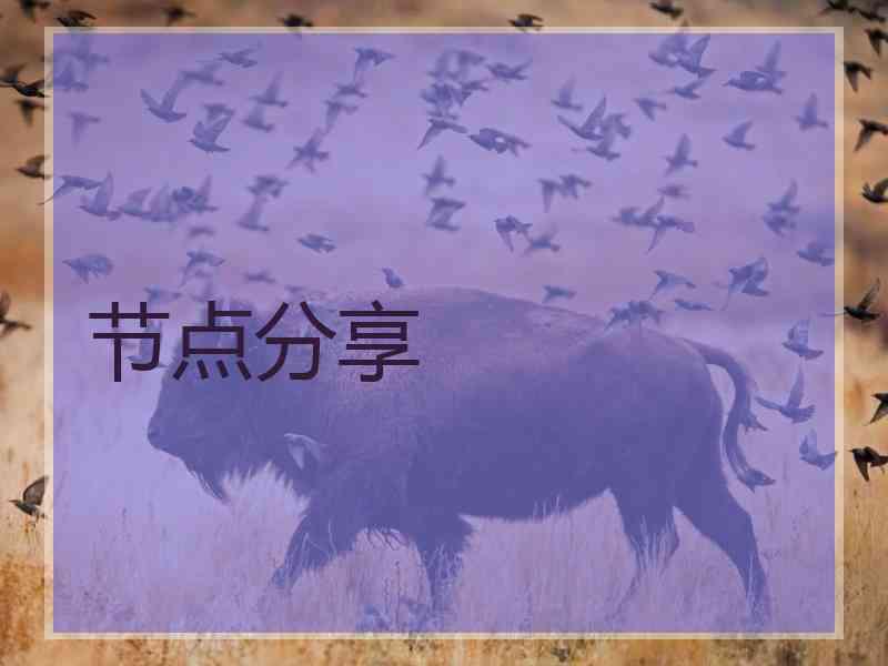 节点分享