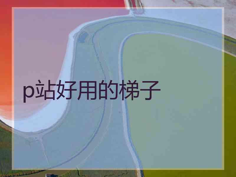 p站好用的梯子